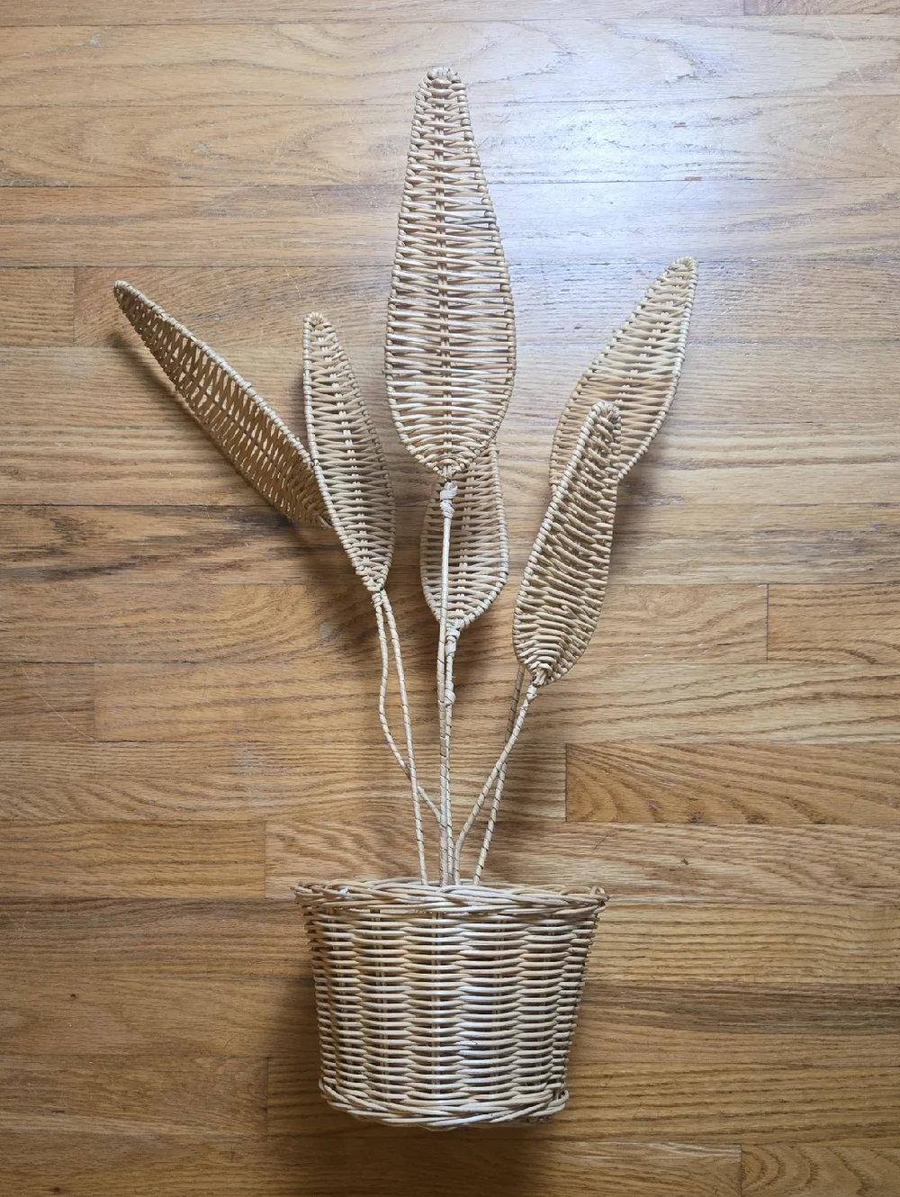 Anthropologie Terrain unique HTF wicker Bird Of Paradise plant